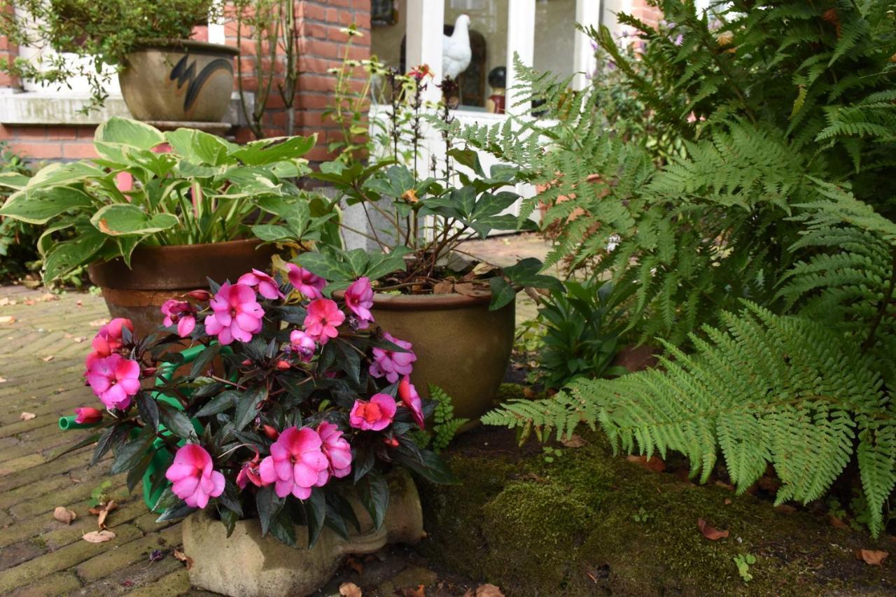 Bed & Breakfast Leonie Haga Exterior foto